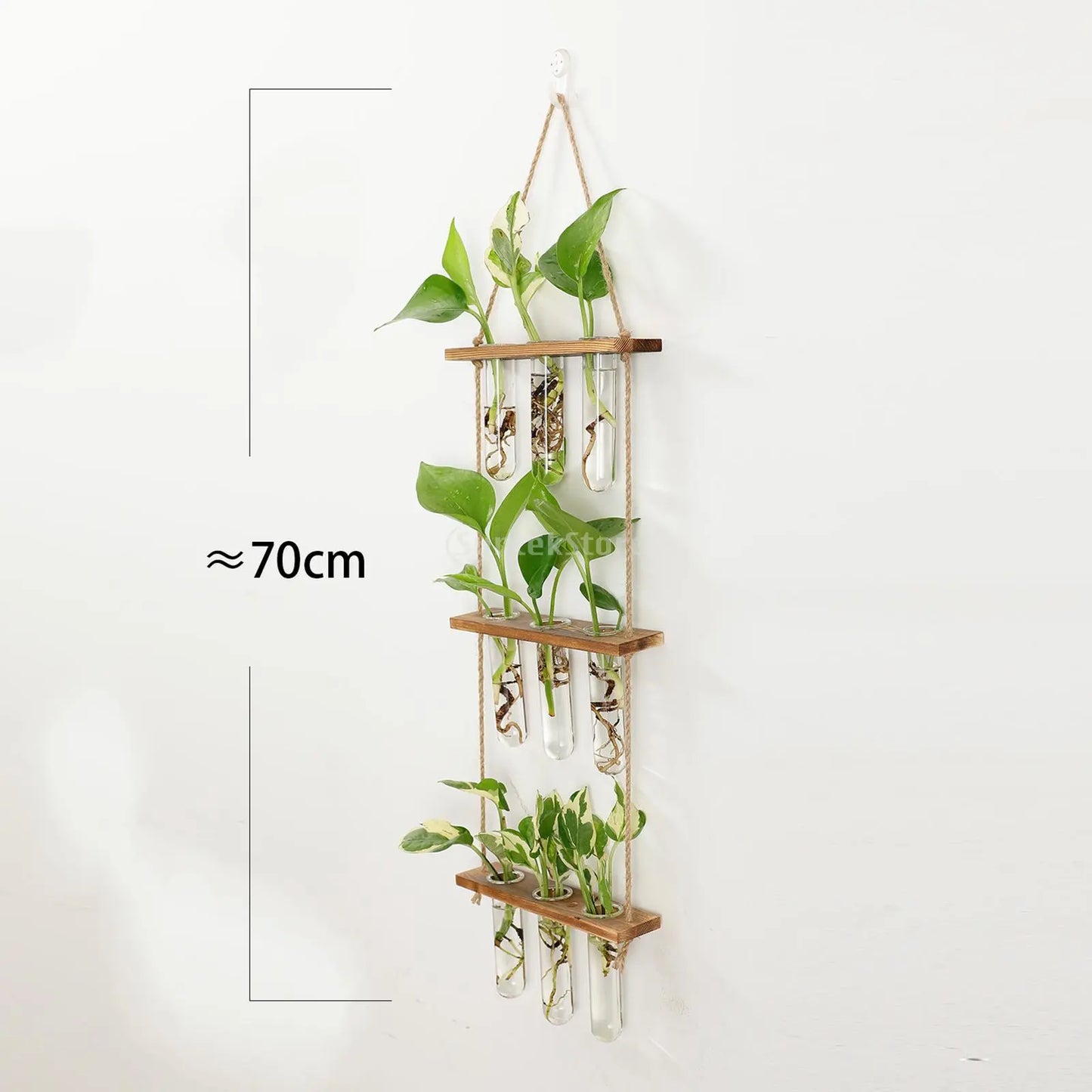 Test Tubes Glass Planter Wall Hanging Terrarium Container Flower Bud Vase with Wooden Holder for Propagation Hydroponic Plant