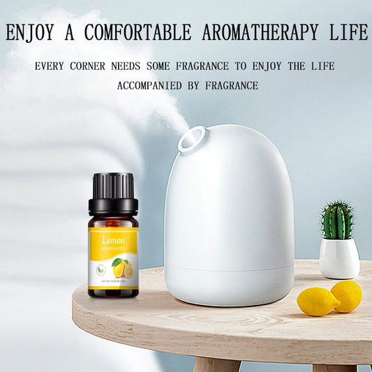12 Flavors Essential Oils for Aroma Diffuser Air Humidifier Home Water-soluble 10ml Air Freshener Scents Fragrance Oil Perfume